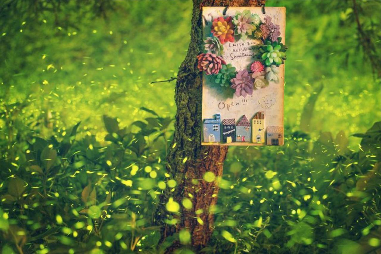 Olive Tree Village Guesthouse 南庄郷 エクステリア 写真