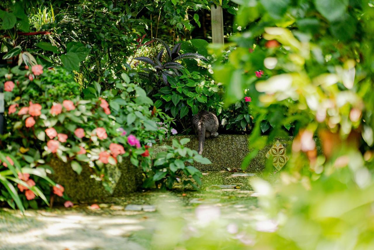 Olive Tree Village Guesthouse 南庄郷 エクステリア 写真