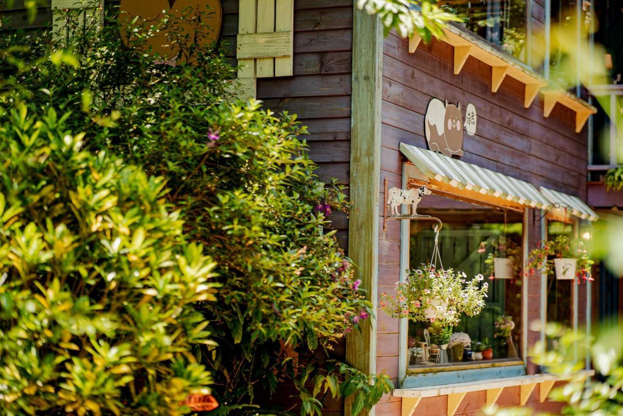 Olive Tree Village Guesthouse 南庄郷 エクステリア 写真