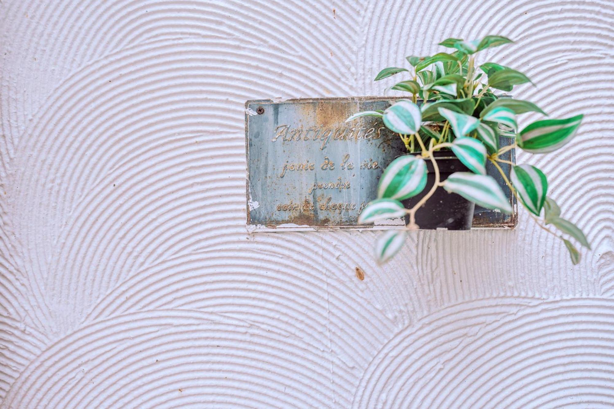 Olive Tree Village Guesthouse 南庄郷 部屋 写真